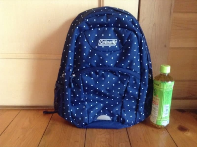 サイズがイメージしやすいペットボトルもけっこう使えるアイテム