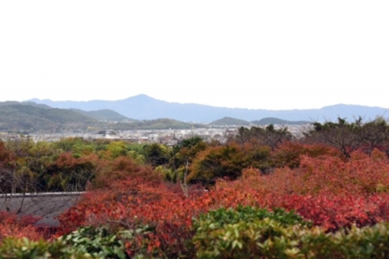 「大河内山荘」庭園からの眺望