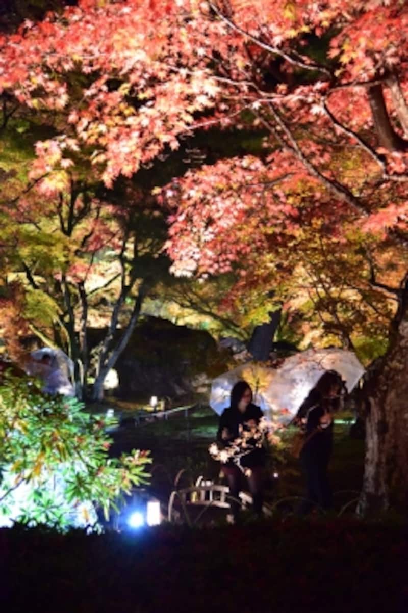 「宝厳院(ほうごんいん)」の紅葉ライトアップ