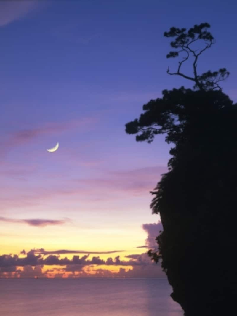 夕空に輝く月