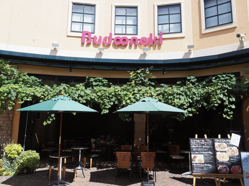 外観＠ぶどうの木