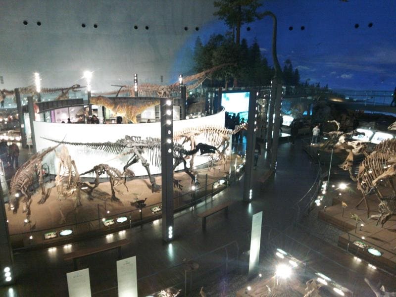 福井県立恐竜博物館(4)/恐竜の全身骨格が並ぶ展示室