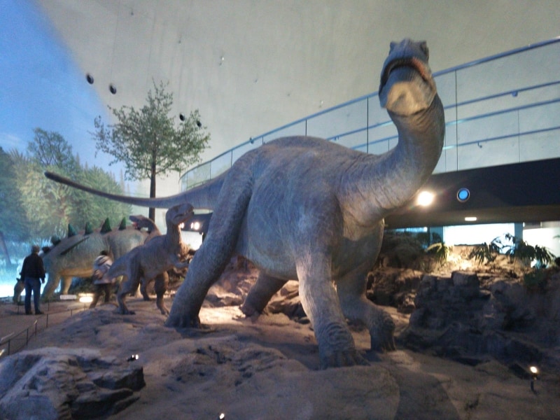 福井県立恐竜博物館（1）／リアルな恐竜復元模型の展示