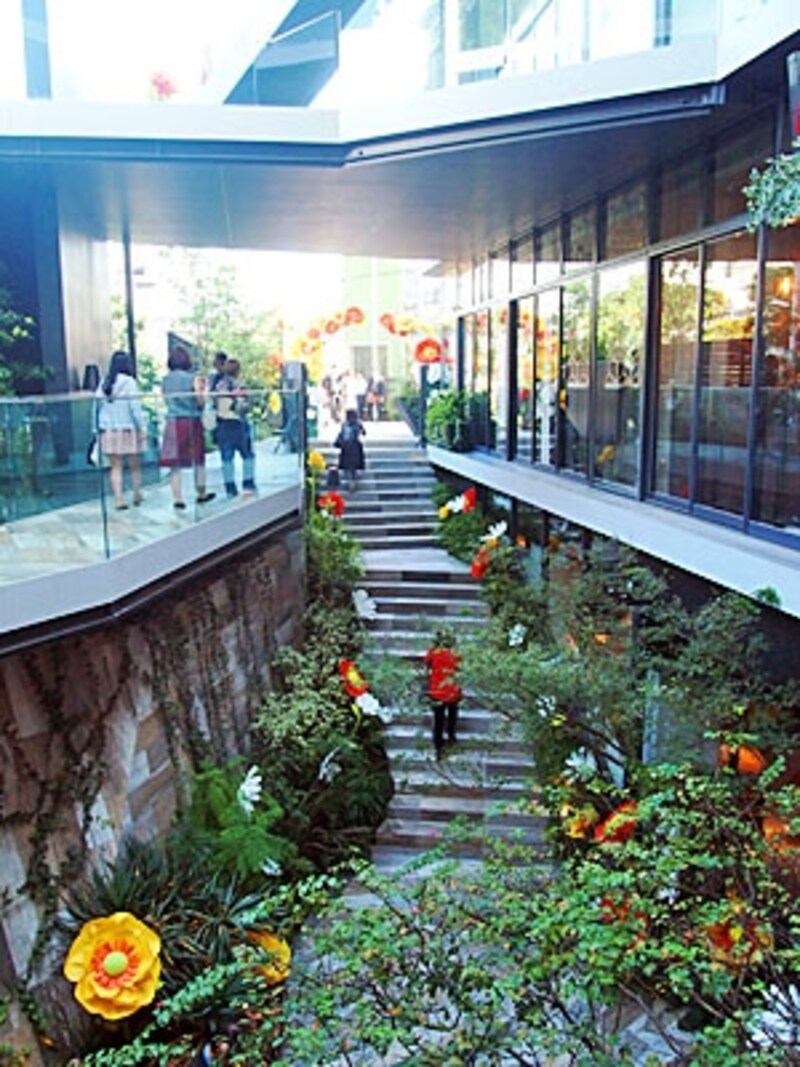 緑と光を取り入れたナチュラル なテイスト