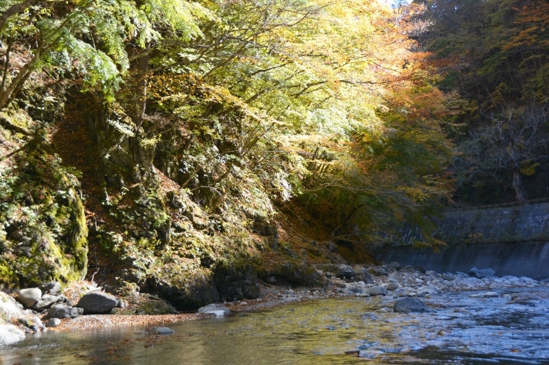 相原橋の河原に迫る紅葉