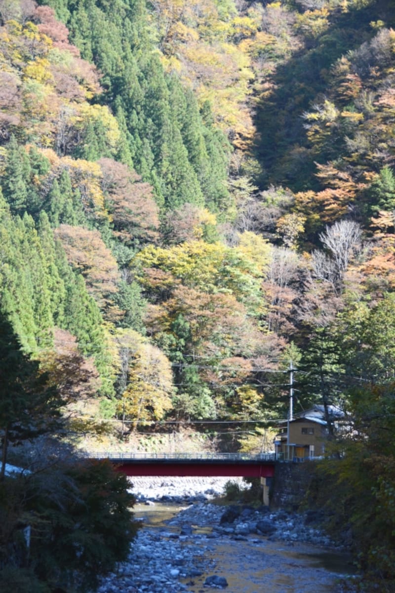 中双里で紅葉に包まれる小さな赤い橋