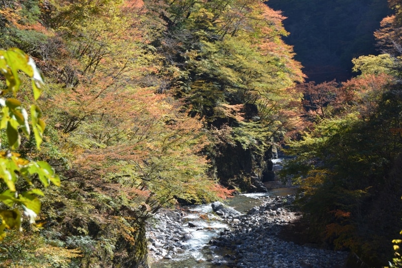 ヤトウロクの渓谷の紅葉