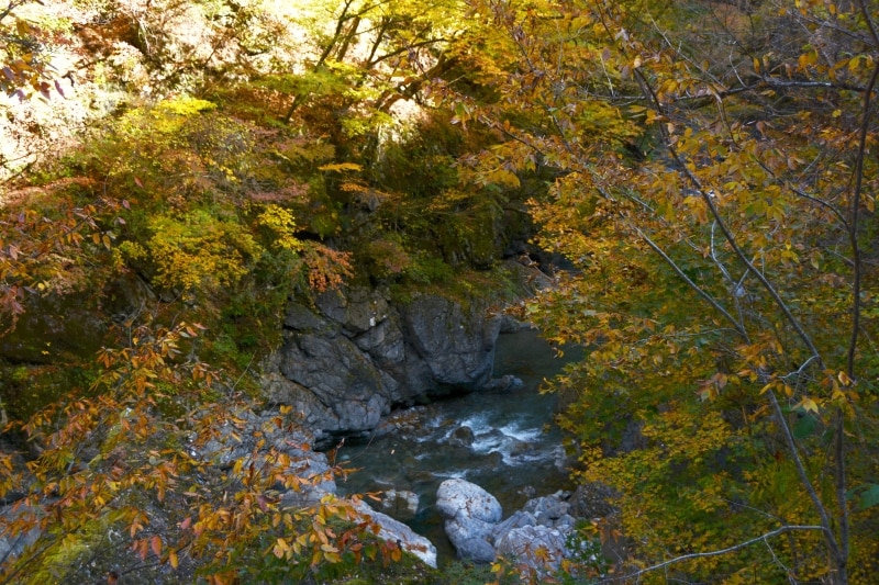 市子岩の奇縁の紅葉