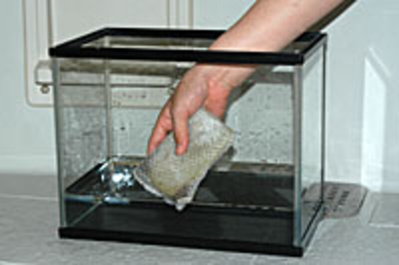 器具類を水洗いする