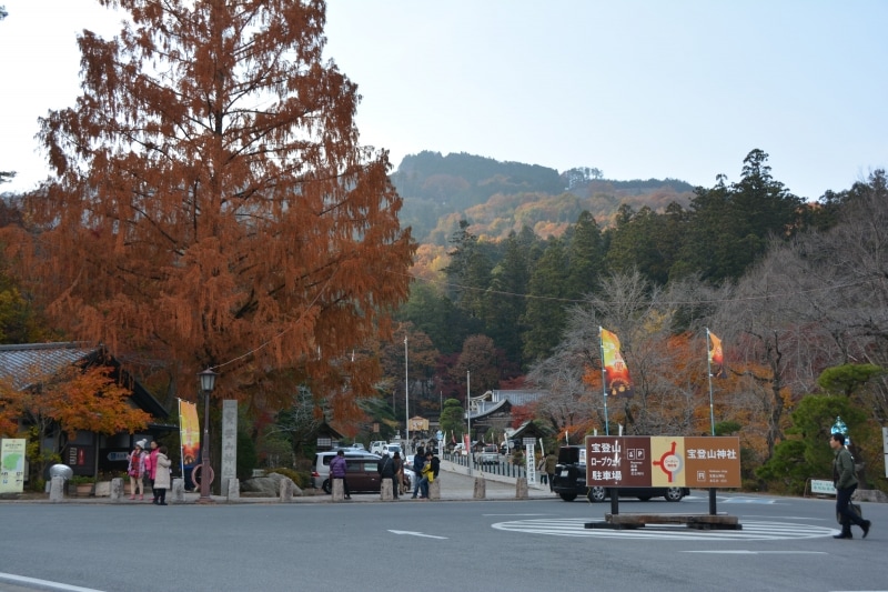 宝登山神社参道入り口から秋のグラデーション