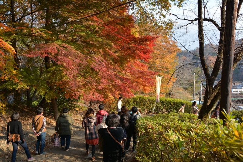 宝登山ロープウェイ山麓駅と駐車場を繋ぐ坂道