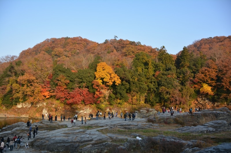 長瀞岩畳の紅葉