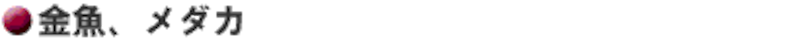 金魚、メダカ