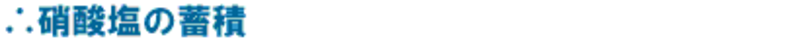 硝酸塩の蓄積