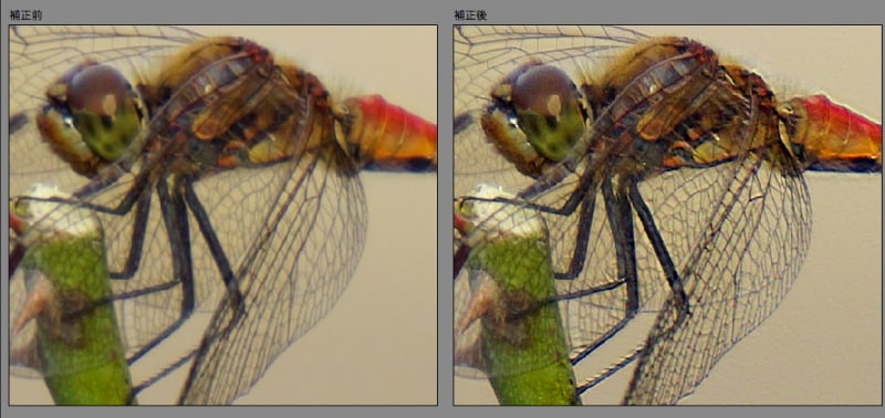 「ぶれの軽減」による左が補正前、右が補正後。羽や細かい毛の描写がくっきりと補正されています。