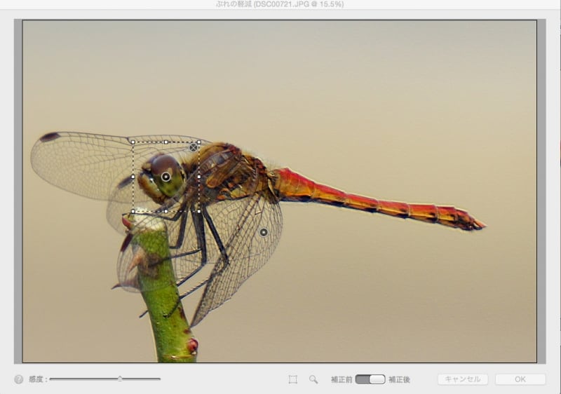 トンボの目と羽の2カ所にぶれの解析領域を配置して、それぞれに調整をして最適化しています。