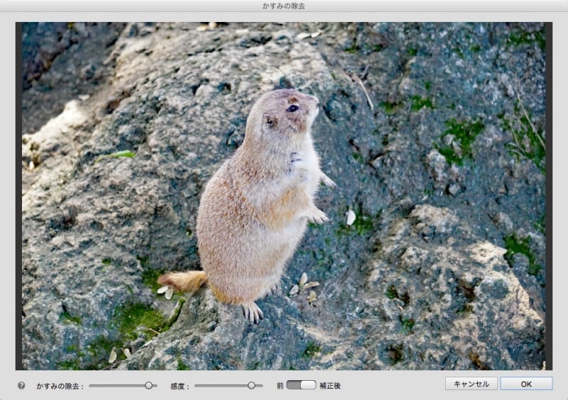 「かすみの除去」と「感度」の強度を調整して自然にかすみを取り去ります。