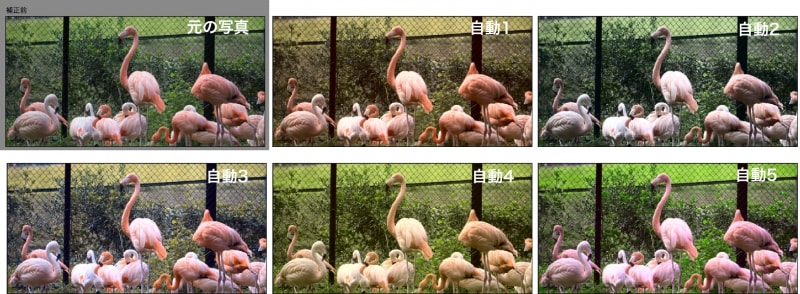 左上から順に元の写真、自動1、自動2、自動3、自動4、自動5。いずれかの気に入ったイメージを選ぶだけで自動的に調整をしてくれます。