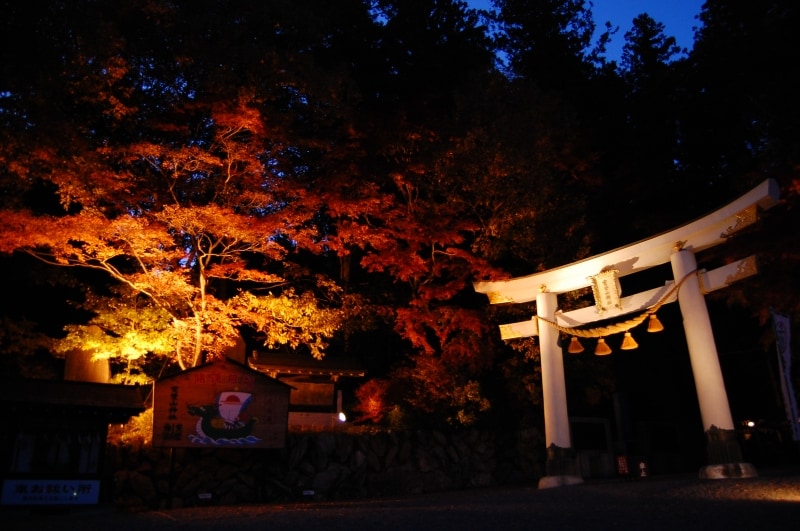 宝登山神社の紅葉ライトアップ