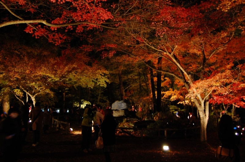 月の石もみじ公園