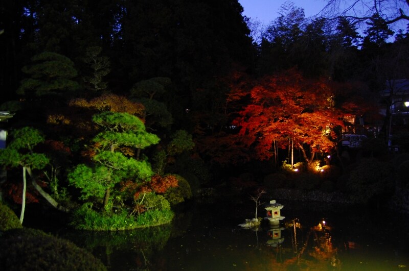 宝登山神社の紅葉ライトアップ