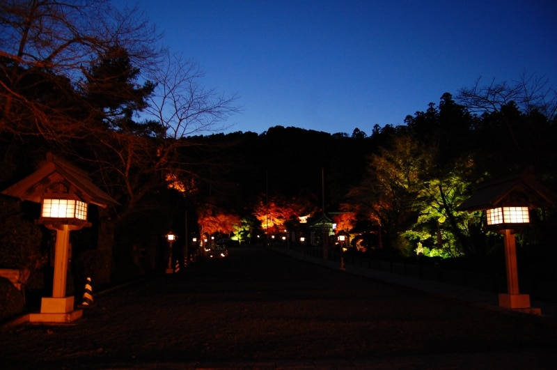 宝登山神社の参道