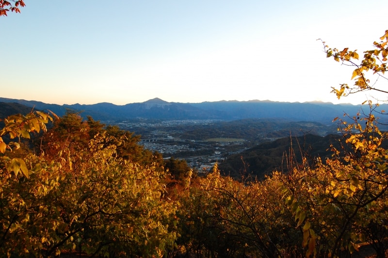 宝登山からみた景色