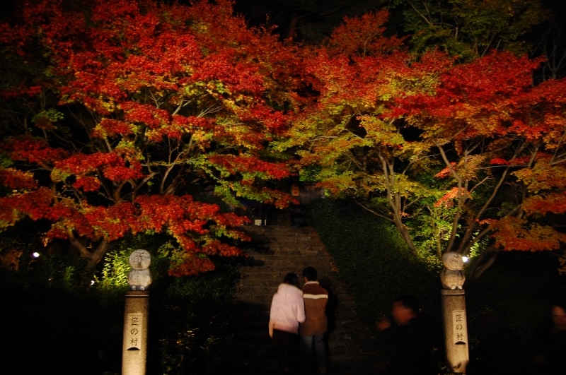 夜のデートにもおすすめ