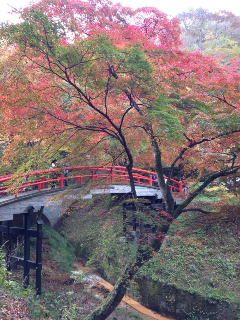 河鹿橋の紅葉