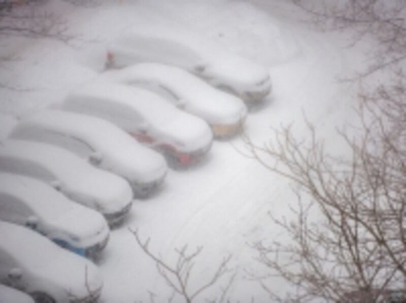 雪に埋もれている自動車