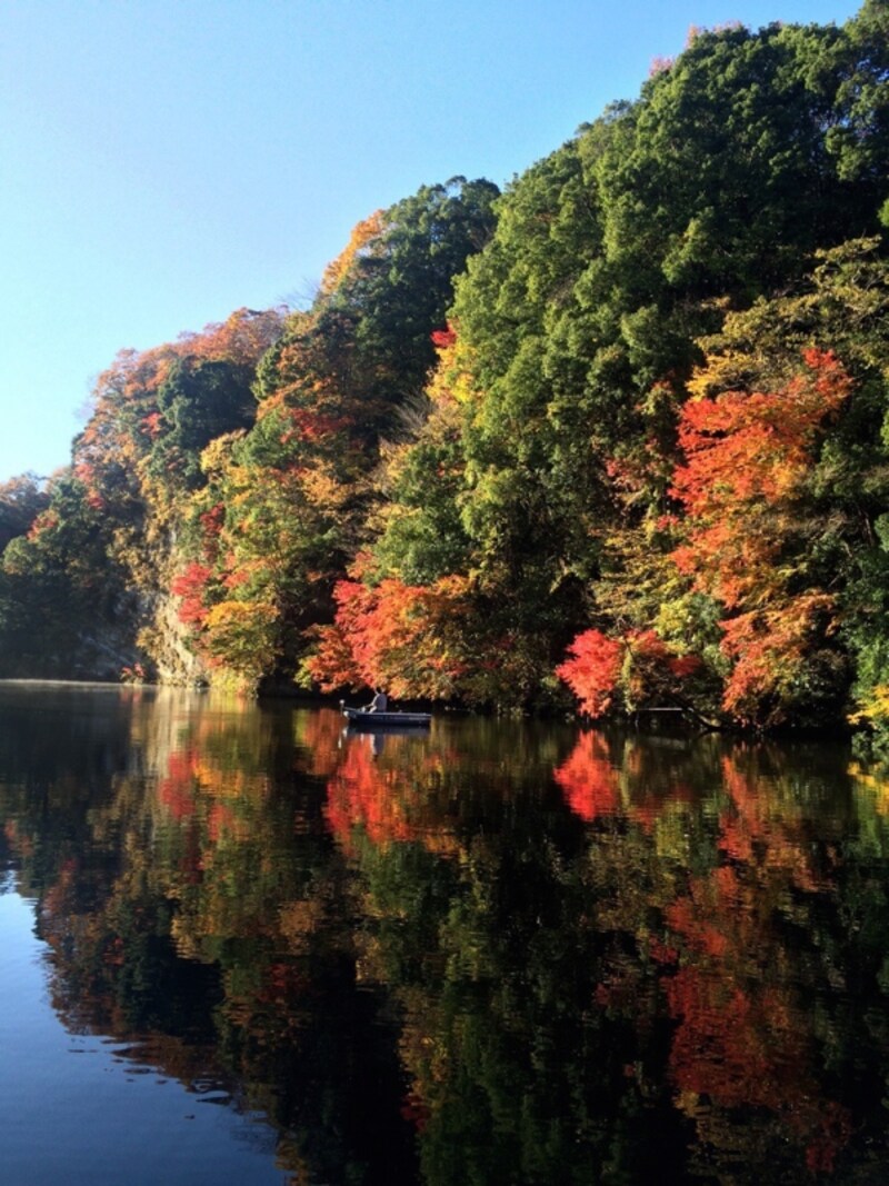 釣りをしながら紅葉狩り