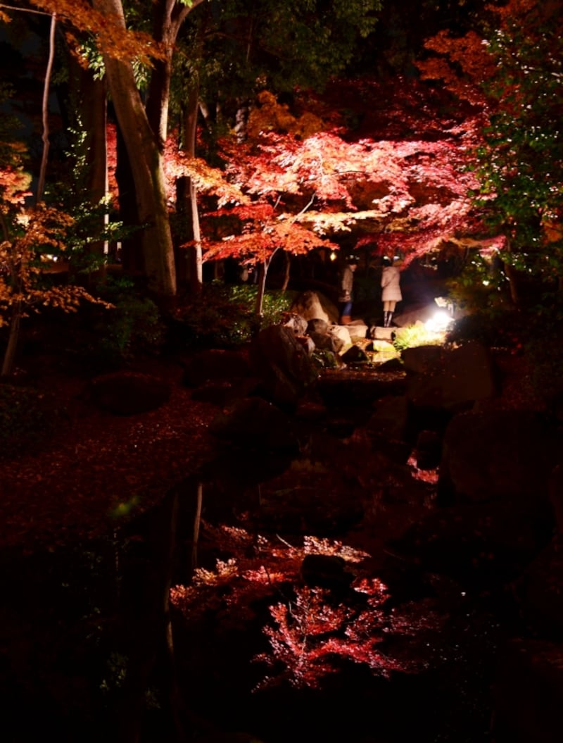 風情ある日本庭園の紅葉