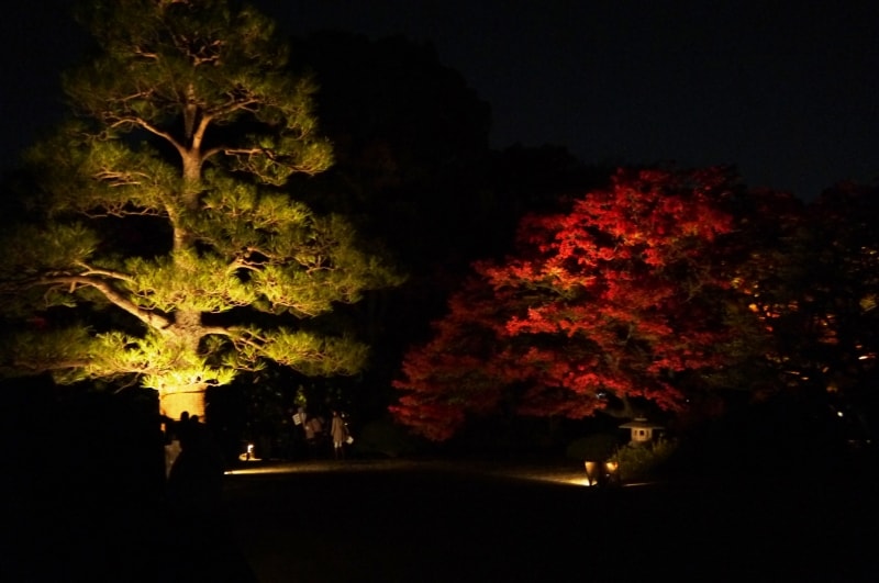 六義園undefined紅葉と大名庭園のライトアップ