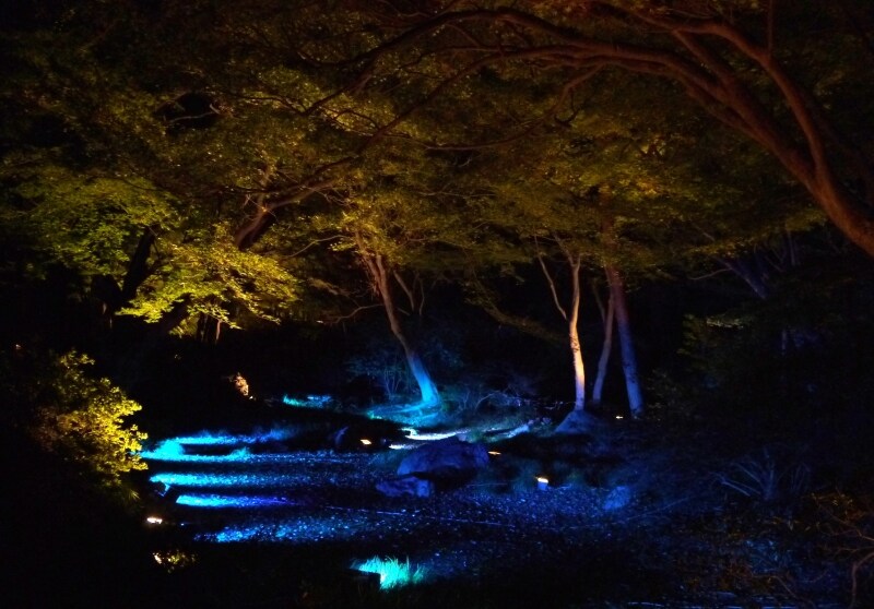 「水香江」の演出