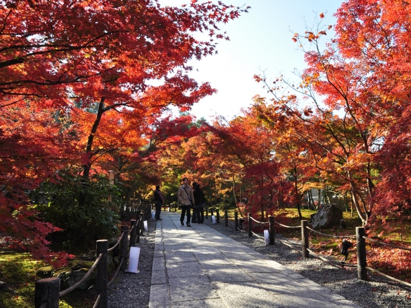 「もみじの永観堂」とも言われる京都有数の紅葉の名所