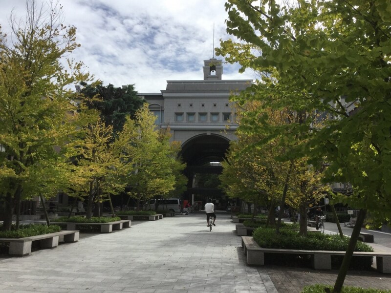 京都大学構内の色づきはじめた紅葉(2015年9月末撮影)