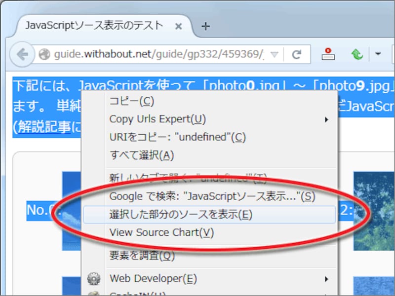 「選択した部分のソースを表示」をクリック