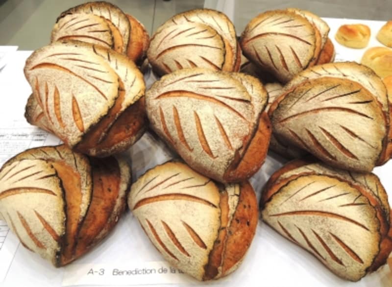 &quot;Benediction de la terre(ベネディクション デ ラテール 大地の恵み）&quot;