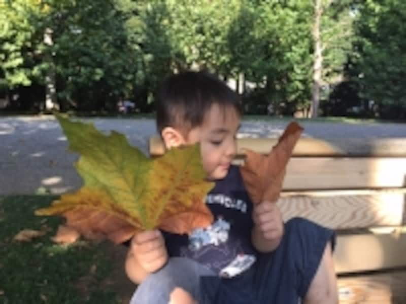 葉っぱを持つ幼児