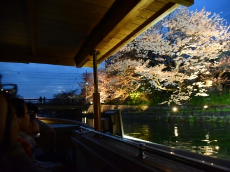 「十石舟」から眺めるライトアップされた夜桜