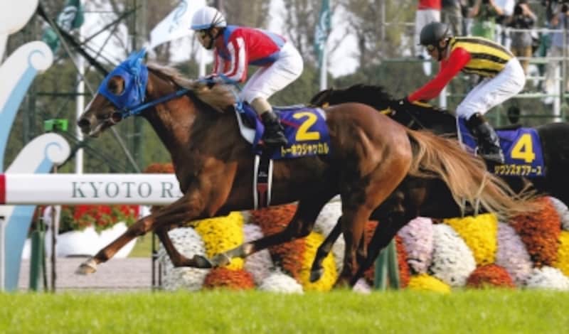 距離との戦い を楽しむ 15菊花賞 競馬 All About 距離との戦い を楽しむ 15菊花賞 競馬 All About
