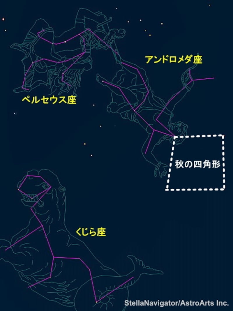 ペルセウスとお化けクジラ