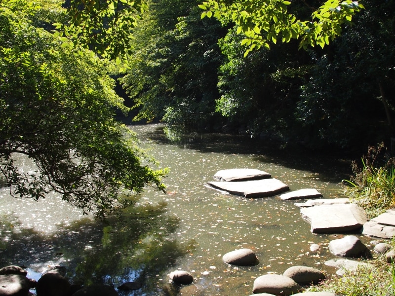 夏目漱石の作品「三四郎」にちなんで、三四郎池と呼ばれるようになった
