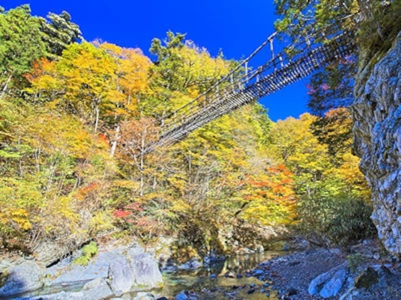 祖谷渓、奥祖谷二重かずら橋の紅葉
