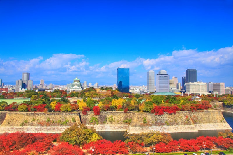 西日本を代表する紅葉名所の大阪城