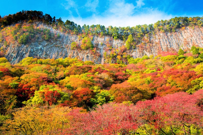 紅葉の屏風岩公苑