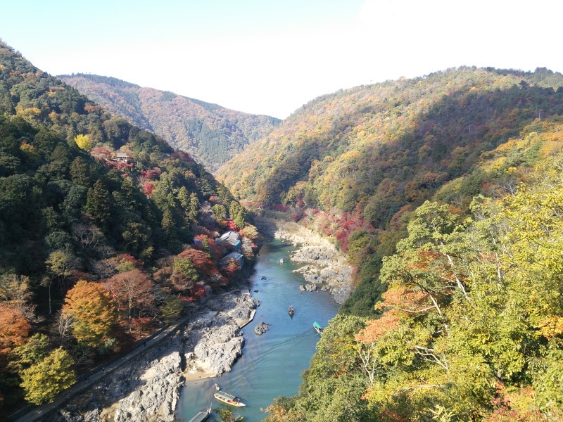 紅葉・黄葉で色づく山に囲まれた中を流れる保津川