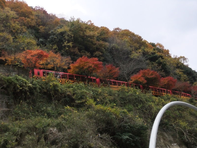 嵯峨野観光鉄道・トロッコ列車(2)/保津川下りの舟から紅葉と共に