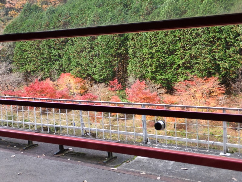 嵯峨野観光鉄道・トロッコ列車の車窓(5)/トロッコ保津峡駅ホーム越しの紅葉