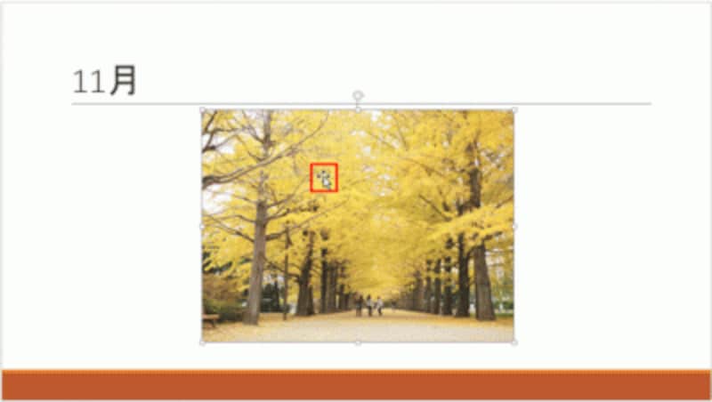 特定の写真だけを圧縮する場合は、圧縮したい写真を選択すればよい。